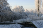 IMG_5780.jpg