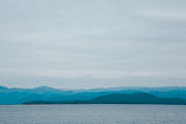 _MG_3890.jpg